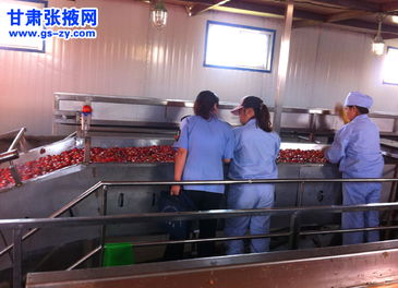 甘州區(qū)食藥監(jiān)管所強(qiáng)化食品生產(chǎn)與銷(xiāo)售環(huán)節(jié)專(zhuān)項(xiàng)檢查