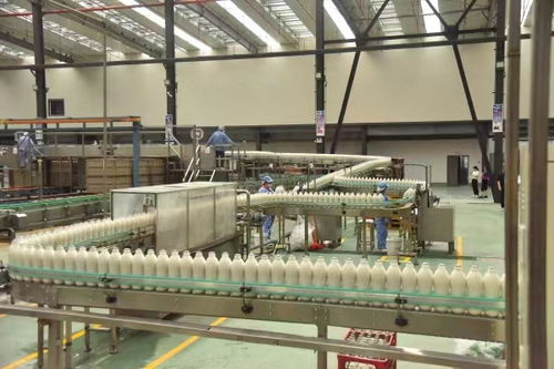 首屆中國(guó)綦江食品工業(yè)高質(zhì)量發(fā)展大會(huì)將于12月4日舉行，聚焦食品銷(xiāo)售新機(jī)遇